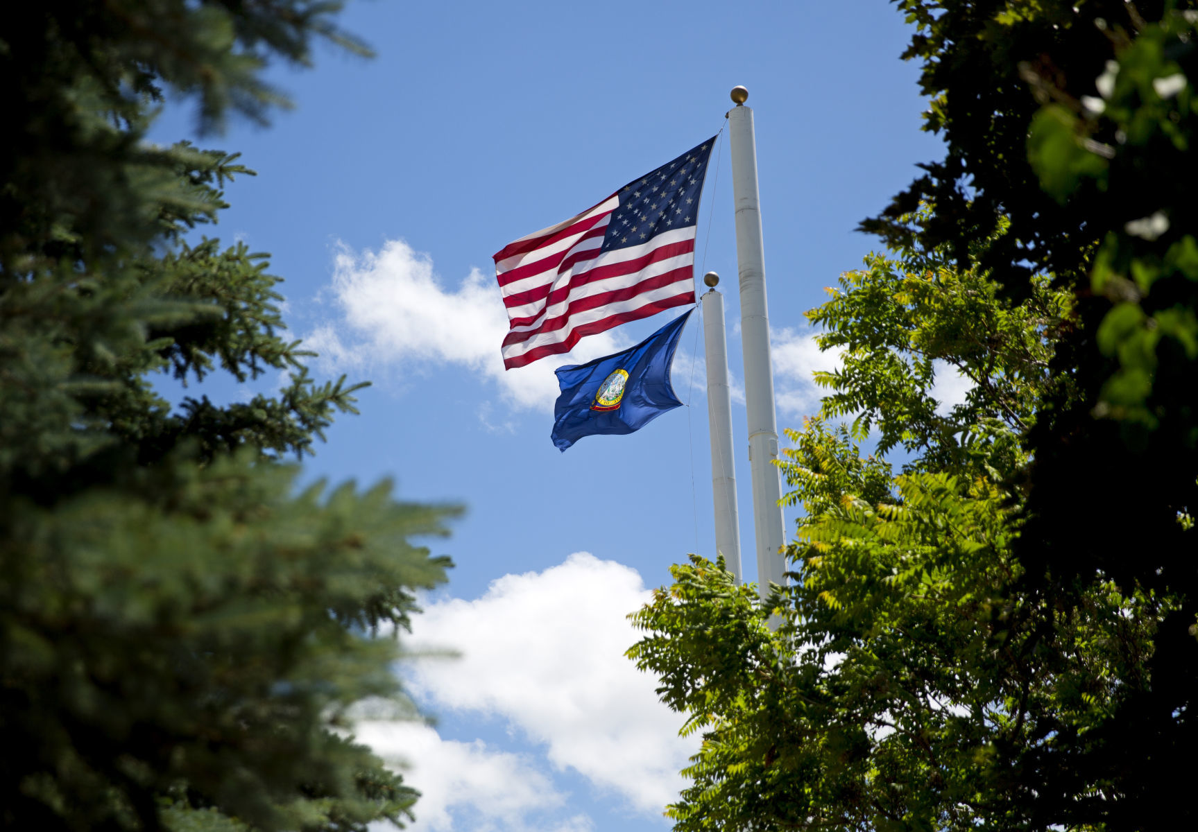 Flag Day